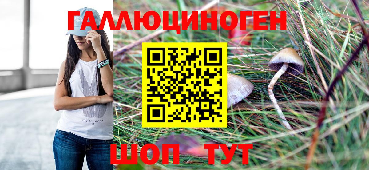 купить  цена  Галлюциногенные грибы мухоморы  Фрязино  Вход с VPN  Псилоцибиновые грибы GOLDEN TEACHER 