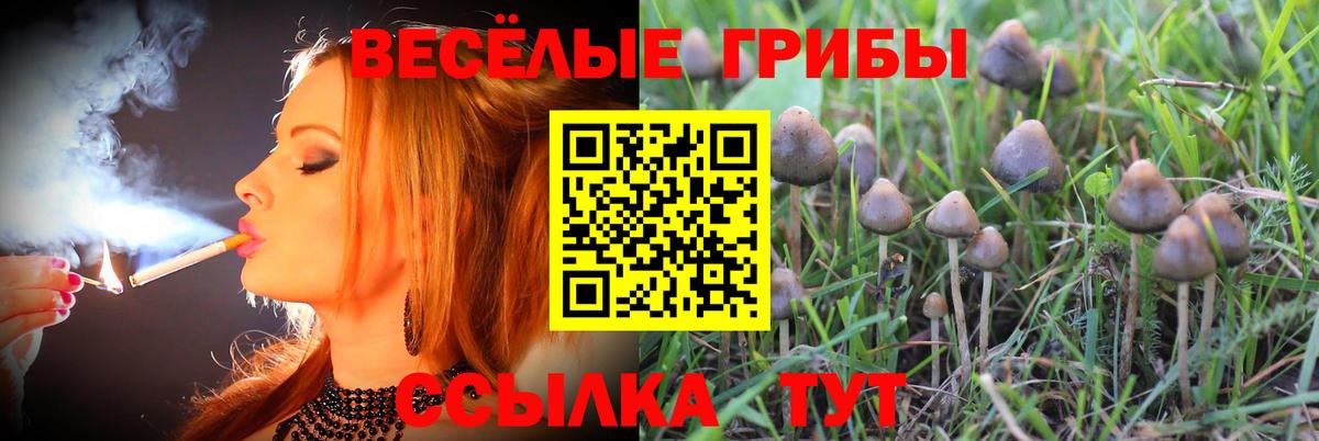 Галлюциногенные грибы GOLDEN TEACHER Фрязино